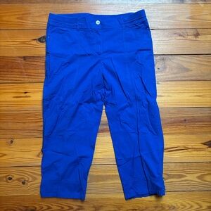 Chico's Blue Cropped Pants, EUC, 2.5 L 14